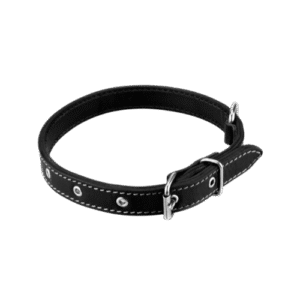 premium leather dog collar